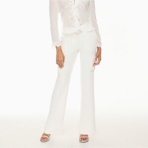 NWT Aritzia Wilfred Lully Cargo Pant